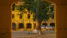 Đề kiểm tra năm học 2018-2019